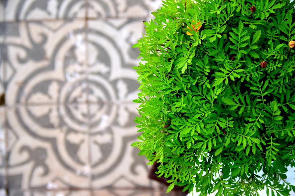 Riad Khmisa Tétouan Buitenkant foto